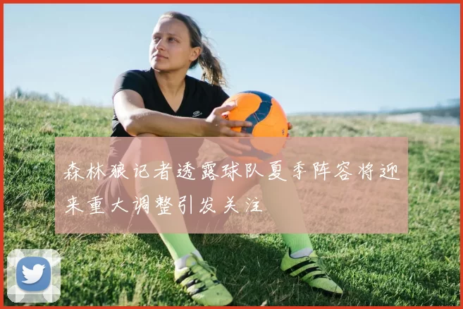 森林狼记者透露球队夏季阵容将迎来重大调整引发关注