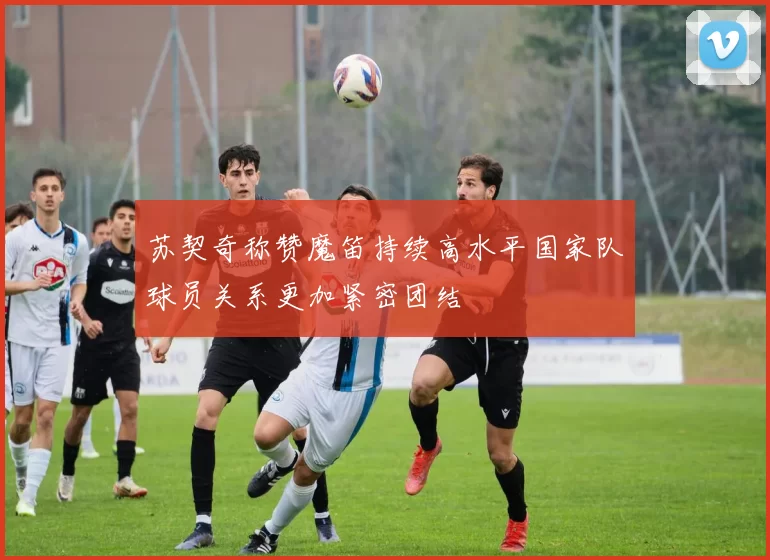 苏契奇称赞魔笛持续高水平国家队球员关系更加紧密团结
