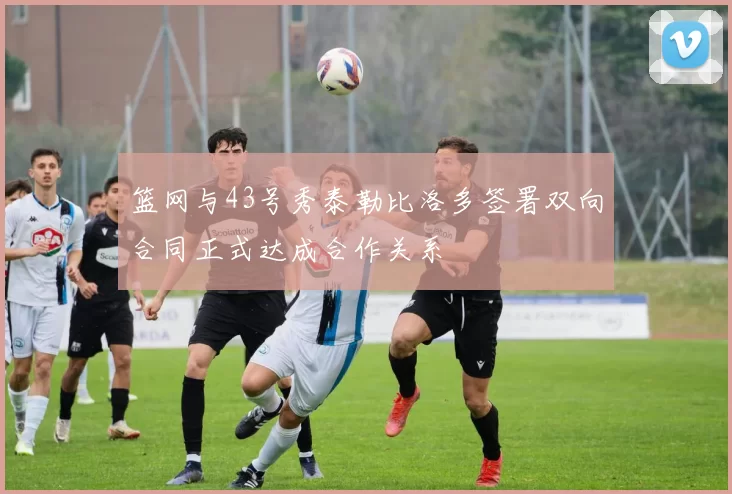 篮网与43号秀泰勒比洛多签署双向合同正式达成合作关系